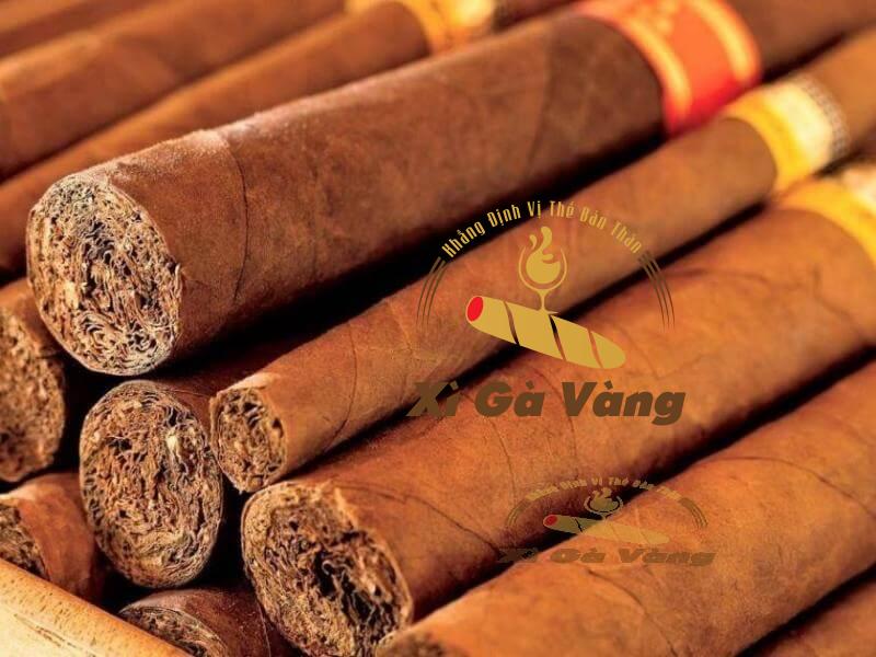 Điếu xì gà cần được lên men tốt trước khi thưởng thức